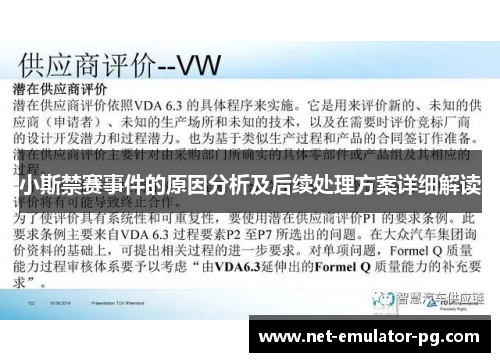 小斯禁赛事件的原因分析及后续处理方案详细解读