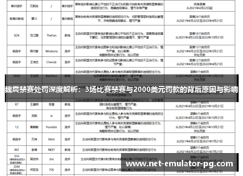 魏震禁赛处罚深度解析：3场比赛禁赛与2000美元罚款的背后原因与影响