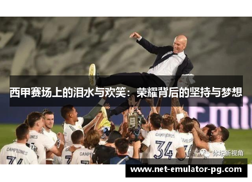 西甲赛场上的泪水与欢笑：荣耀背后的坚持与梦想