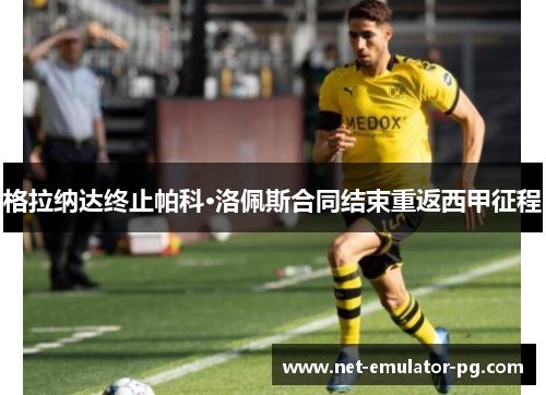 格拉纳达终止帕科·洛佩斯合同结束重返西甲征程 格拉纳达终止帕科·洛佩斯合同结束重返西甲征程